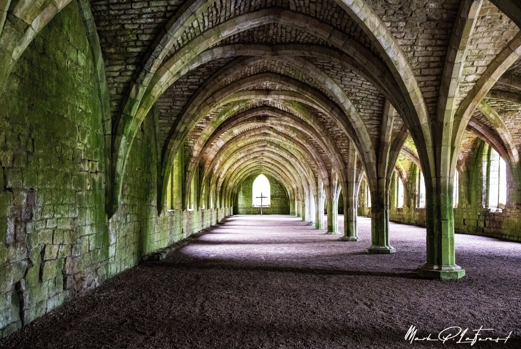 /gallery/west_europe/UK/Yorkshire/fountains abbey/Fountains Abbey May 2022-012_med.jpg